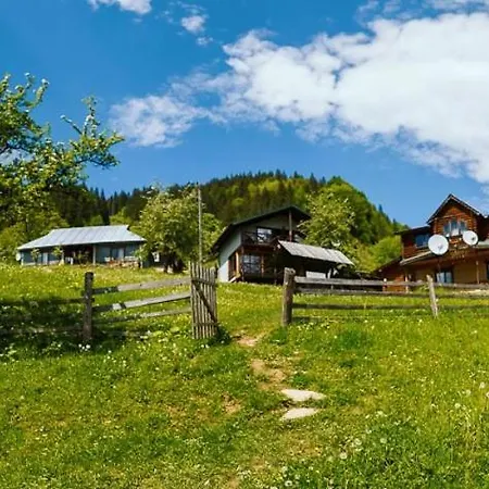 ксенія Apartamento