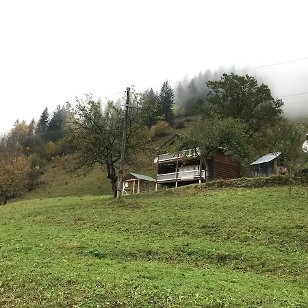 ксенія