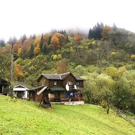 ксенія Apartamento Dzembronia